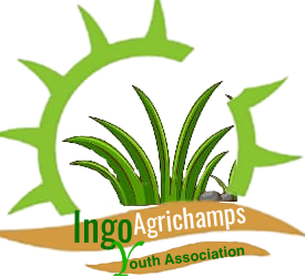 Ingo_Logo